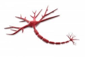 Célula neuronal psicologos madrid